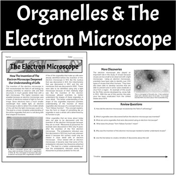 Preview of Biology Worksheet - Organelles & The Electron Microscope (Form Follows Function)