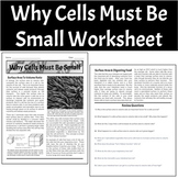 Biology Worksheet - Surface Area To Volume Ratio (Why Cell