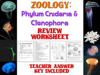 Preview of Biology / Zoology – Phylum Cnidaria and Ctenophora Review Worksheet