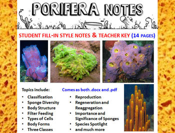 Preview of Biology / Zoology – Phylum Porifera (Sponges) Notes Handout and Teacher Key