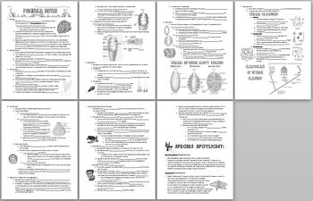 Biology / Zoology – Phylum Porifera (Sponges) Notes Handout and Teacher Key