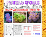 Biology / Zoology – Phylum Porifera (Sponges) Review Worksheet