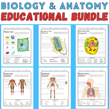 Preview of Biology and Anatomy Bundle: 8 Educational Workheets & Coloring & Activities