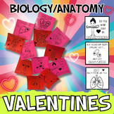 Biology and Anatomy Printable Valentine's Day Cards