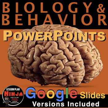Preview of Psychology Biology & Behavior PowerPoints / Google Slides, Student Guided Notes