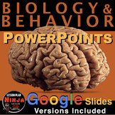 Psychology Biology & Behavior PowerPoints / Google Slides,