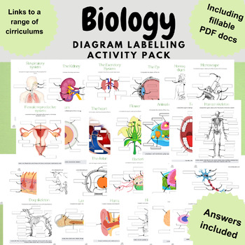Preview of Biology diagram labelling activities bundle cells organs systems plant animal