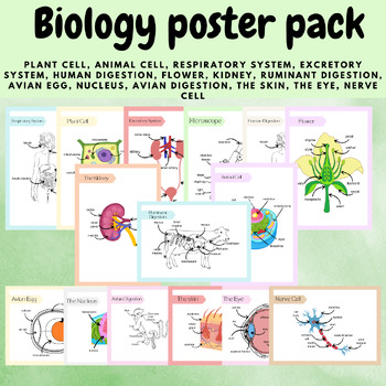Preview of Biology diagram poster bundle cells organs systems plant animal digestion
