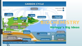 Preview of Biology's Big Ideas -- Biochemistry PowerPoint
