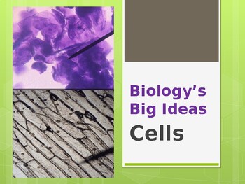 Preview of Biology's Big Ideas -- Cells PowerPoint