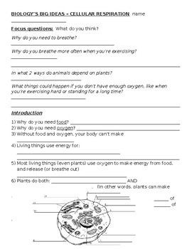 Preview of Biology's Big Ideas -- Cellular Respiration worksheets