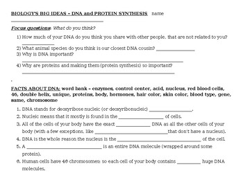 Preview of Biology's Big Ideas -- DNA and Protein worksheets