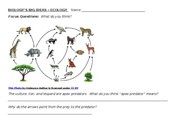 Preview of Biology's Big Ideas -- Ecology worksheets