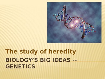 Preview of Biology's Big Ideas -- Genetics PowerPoint