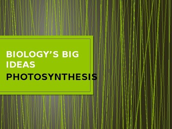 Preview of Biology's Big Ideas -- Photosynthesis PowerPoint