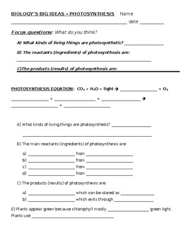 Preview of Biology's Big Ideas -- Photosynthesis worksheets