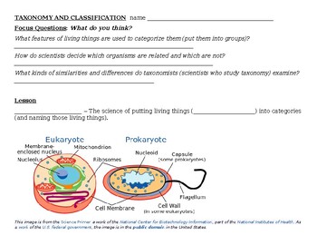 Preview of Biology's Big Ideas -- Taxonomy worksheets