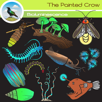 Preview of Bioluminescence Clip Art - Firefly - Glowworm - Foxfire Fungus and More