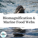 Biomagnification & Marine Food Webs - DDT Simulation