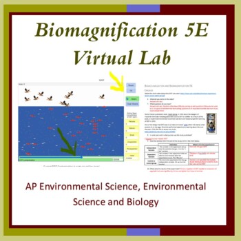 Preview of Biomagnification Virtual 5E Lab for APES, Biology. Distance Learning