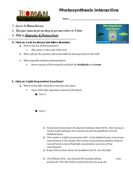 bioman biology photosynthesis interactive worksheet