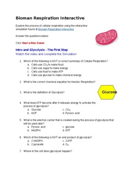 Preview of Bioman Cellular Respiration Interactive Simulation Worksheet
