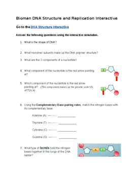 Preview of Bioman DNA Structure and Replication Interactive