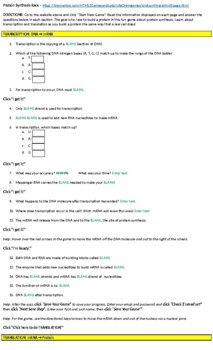 Dna Replication And Protein Synthesis Virtual Lab Sheet Answer Key
