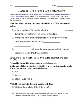 Preview of Biomanbio Krebs Cycle Virtual Interactive and Worksheet w/KEY