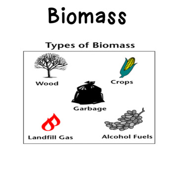 biomass examples
