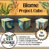 Biome ~ 3D Research Project Cube