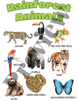 Preview of Biome Animal Posters