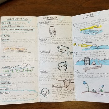 biome travel brochure project