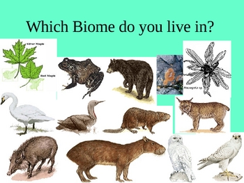 Biome PPT 7th Grade Life Science by Whit S | TPT