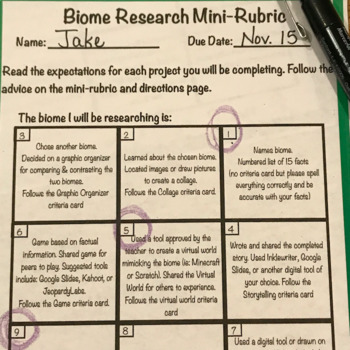 Biome Research Tic Tac Toe Differentiated Learning Plan by TechedOutTeacher