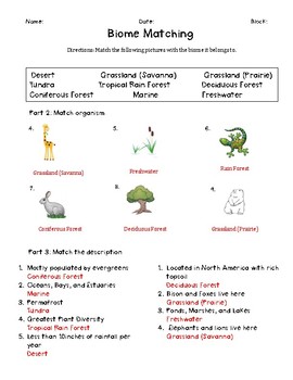 Biome Review by Ms Corey Science Spot | TPT