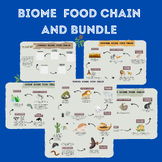 Biome and food chain bundle