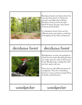 Biomes - Deciduous Forest Animals Three/Four Part Cards by Vicki Thompson