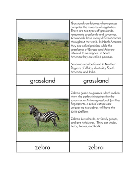 Preview of Biomes - Grassland Animals Three/Four Part Cards