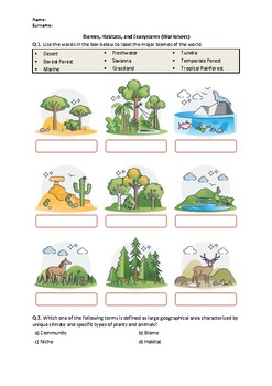 Preview of Biomes, Habitats, and Ecosystems - Worksheet | Easel Activity & Printable PDF