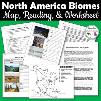 Biomes Map Color-By-Number, Reading, and Review Worksheet! | TpT