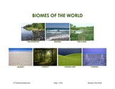 Biomes Picture Activity Cards