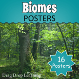 Biomes Posters