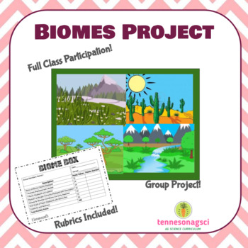 Preview of Biomes Project