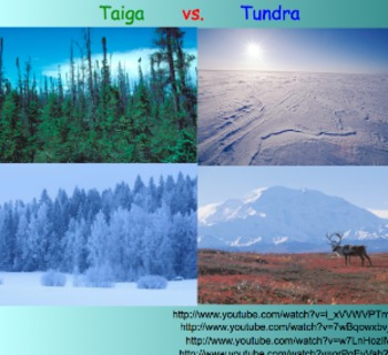 Тундра тайга. Тайга и тундра. Тундра Тайга Саванна. Плотно заселены тропические пустыни Тайга тундра. Tundra сила тайги.