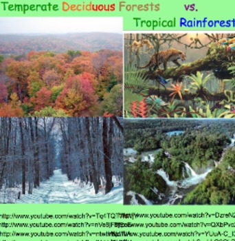 Preview of Biomes: Temperate Forest & Tropical Rainforest - Lesson Presentation, Videos