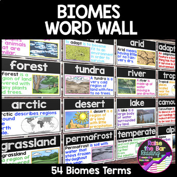 Preview of Biomes Unit Word Wall: Tundra, Forest, Desert, Grassland and Aquatic Biomes