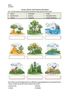 Preview of Biomes, Habitats, and Ecosystems - Worksheet | Printable and Distance Learning