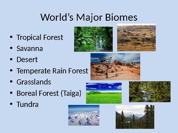 biomes ecosystems powerpoint aquatic lesson earth science followers
