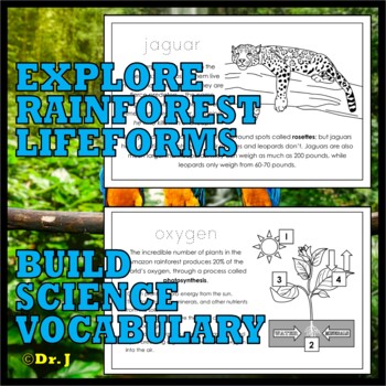Biomes and Ecosystems: LIFE IN THE RAINFOREST by LET'S GET REAL | TPT